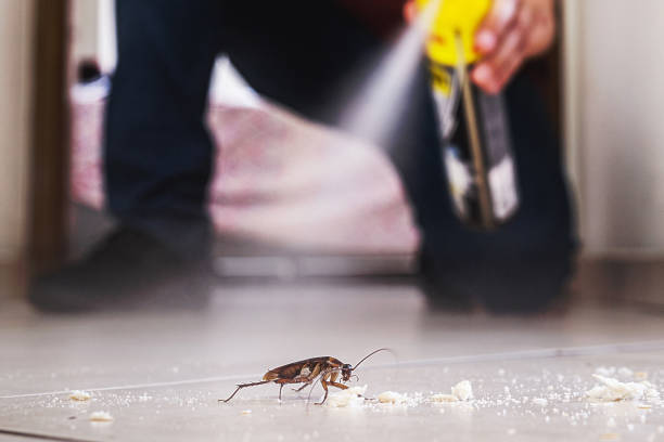 Best Pest Prevention Services  in Sanford, NC